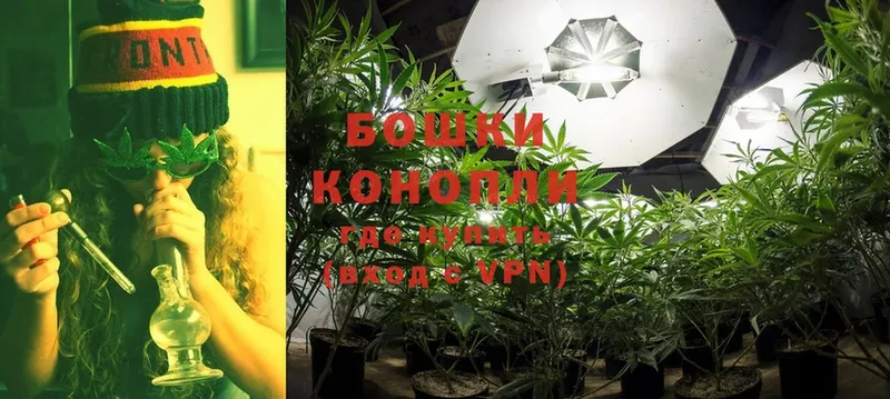 магазин  наркотиков  Аша  Канабис OG Kush 